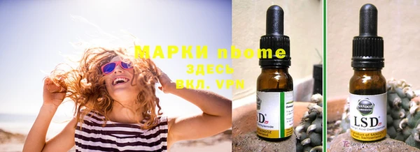 ПСИЛОЦИБИНОВЫЕ ГРИБЫ Баксан
