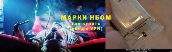 сатива Балахна
