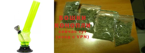 PSILOCYBIN Сосновка