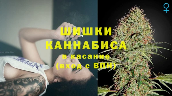 сатива Балахна