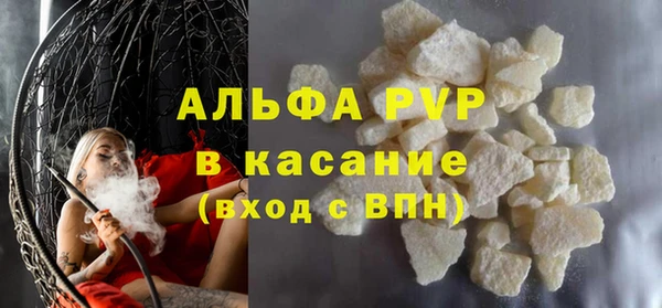 ПСИЛОЦИБИНОВЫЕ ГРИБЫ Баксан