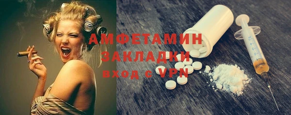 сатива Балахна