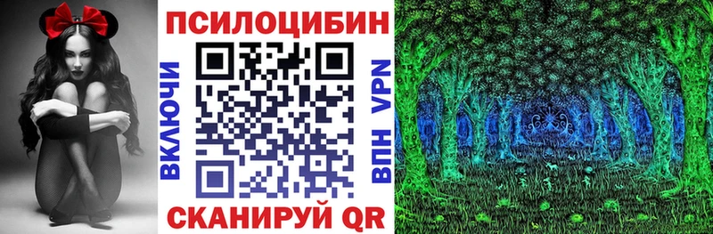 хочу наркоту  Звенигово  Псилоцибиновые грибы прущие грибы 