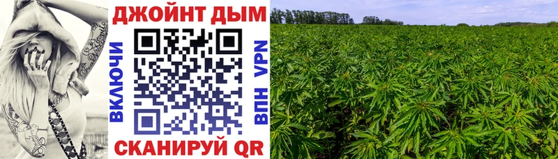 Марихуана Amnesia Звенигово